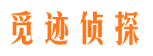 乌马河外遇调查取证